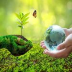7 Ways to become more environmentally friendly