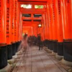 Rome Street Walk · Free photo on Pixabay